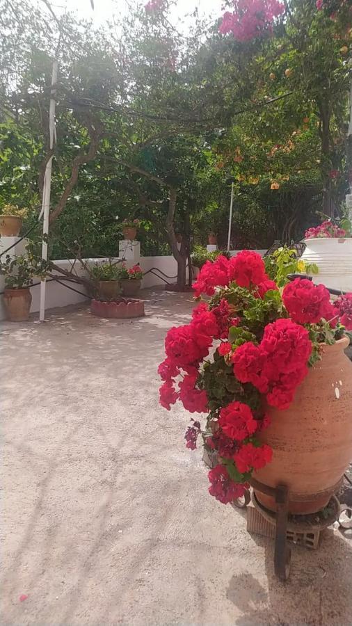 Casa vacanze El Castillo *